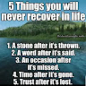 Meet your Posher, Reynaldo